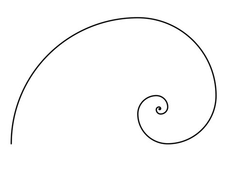 Fibonacci spiral isolated on transparent background. Golden ratio geometric concept. Simple illustration. Divine proportions.