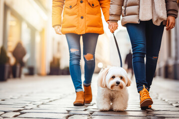 Couple walking on street with a dog, close up photo. Wearing jeans, casual outfit on sunny autumn day. Fluffy small dog on a leash. City urban life. - obrazy, fototapety, plakaty