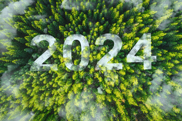 New year 2024 environment inspirational abstract nature background of pine trees in a mountain forest and clouds aerial top view - 689633228