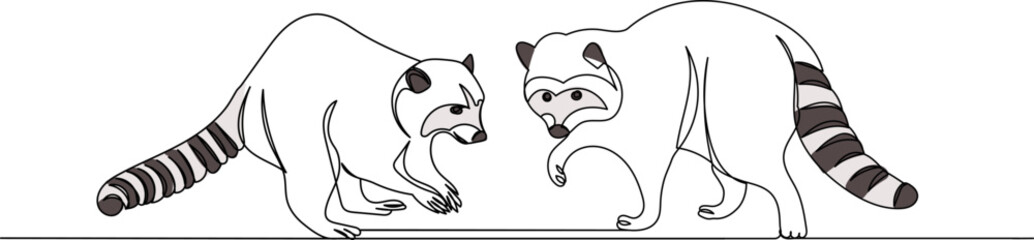 raccoons line drawing, on a white background, vector