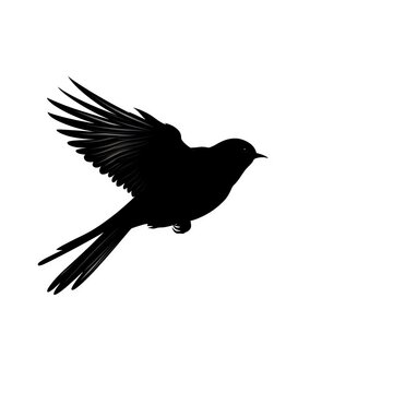 a silhouette of a bird