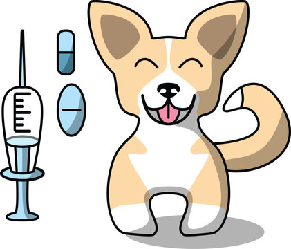 Corgi dog health vet visit for vaccine and deworming