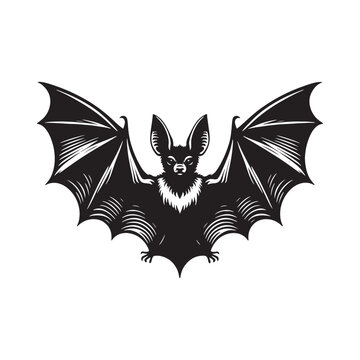 Bat silhouette: Nocturnal bat bird soaring gracefully in silhouette, creating a sense of mystery. Black vector bat silhouette.

