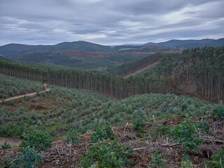 El Pico da Frouxeira es un monte de 427 metros de altitud situado en la parroquia de Santa Cilla do...
