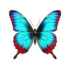 Fototapeta premium butterfly, isolated, transparent, background, wings, insect, flying, colorful, beauty, nature, delicate, flutter, vibrant, beauty, winged, graceful, ethereal, transformation, metamorphosis, wildlife