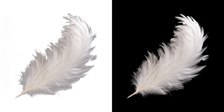 Realistic translucent white feather isolated on transparent background. 
