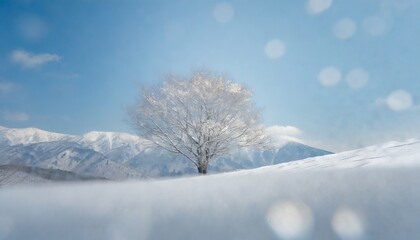 Fototapeta na wymiar 美しい銀世界　冬の雪山美しい樹氷