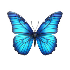 Obraz premium butterfly, isolated, transparent, background, wings, insect, flying, colorful, beauty, nature, delicate, flutter, vibrant, beauty, winged, graceful, ethereal, transformation, metamorphosis, wildlife