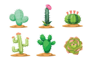Set of cute cactus with colorful. Vector illustration.