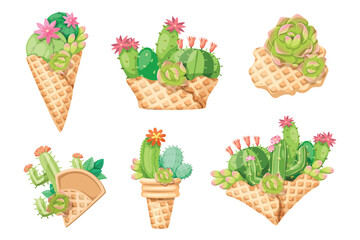 Set of cute cactus with colorful. Vector illustration.