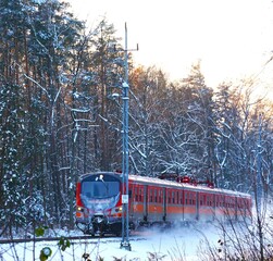 Zaśnieżony pociąg jedzie w gęstym lesie. Czerwony pociąg pozostawia śnieżną smugę. Las, słońce, czerwony pociąg i tory kolejowe. Świąteczny pociąg z maszynistą w środku. - obrazy, fototapety, plakaty