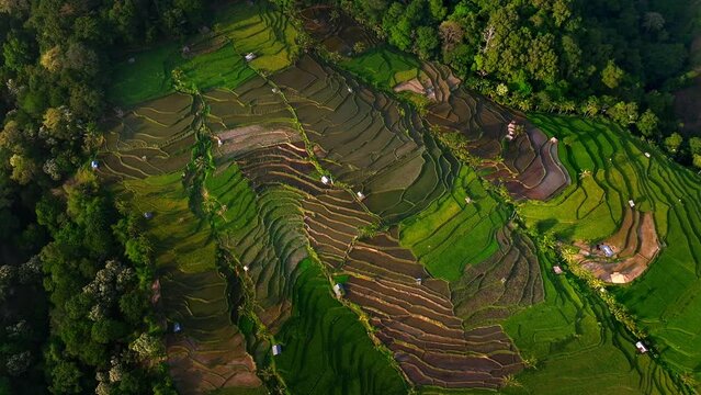 Aerial view of Senaru Rice Terraces, Lombok Indonesia