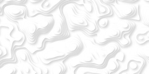 Abstract wavy line 3d paper cut white background. Topographic canyon geometric map relief texture with curved layers and shadow. Abstract realistic papercut decoration textured with wavy lines	