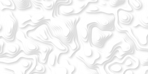 Abstract wavy line 3d paper cut white background. Topographic canyon geometric map relief texture with curved layers and shadow. Abstract realistic papercut decoration textured with wavy lines	