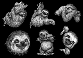 black and white engrave isolated sloth set illustration	 - obrazy, fototapety, plakaty