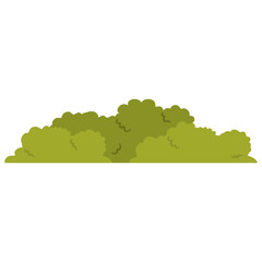 Border grass in flat design