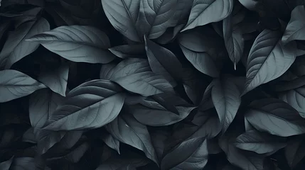 Deurstickers A captivating photo showcasing a background of lush leaves, embodying aesthetic minimalism. The wallpaper features a palette of dark sage colors, offering a serene and sophisticated vibe. © TensorSpark