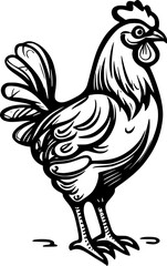 chicken cartoon
