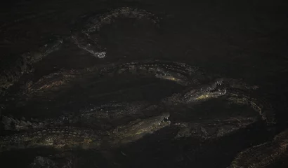 Deurstickers Nilkrokodil bei Nacht / Nile crocodile at night / Crocodylus niloticus. © Ludwig