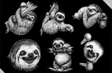 black and white engrave isolated sloth set vector illustration