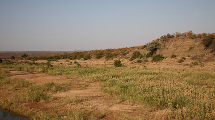 Krüger Park - Afrikanischer Busch – Letaba River / Kruger Park - African bush – Letaba River /