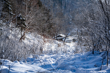 Scenery after snow at Yangcao Mountain Scenic Area in China's snow town