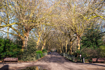 Naklejka premium Battersea Park is a 200-acre green space at Battersea in the London