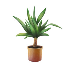 Home plant illustration Yucca in pot