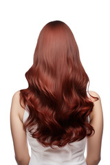 Naklejka premium woman with beautiful hairstyle, back view, salon advertisement, isolated on transparent background