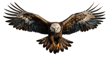 Fotobehang PNG of Bald eagle American soaring on transparent background. Eagle Wild life animal flying for peace feel free in religious Independence Day. © Art Stocker