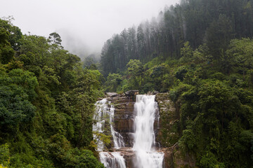 High waterfall full of water in the middle of nature. Ramboda falls near Nuwara Eliya in Sri Lanka..