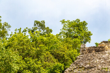 Coba Maya Ruins Nohoch Mul pyramid in tropical jungle Mexico.