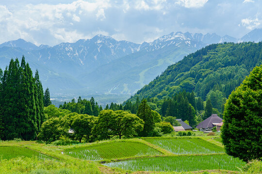 信州白馬　青鬼　日本の原風景　長野観光
