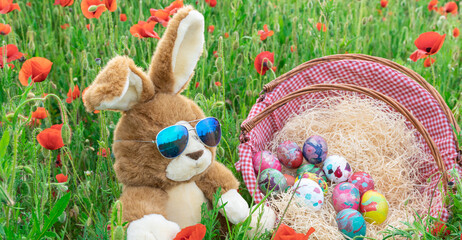 Lapin en peluche dans un panier avec des œufs décorés de Pâques au milieu d'un champs de coquelicots.  