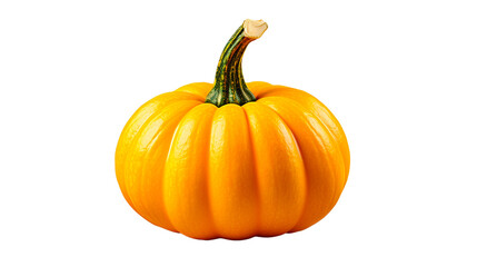 Fototapeta premium Isolated Squash PNG: Fresh Harvest in a Clear Background. Generative AI.