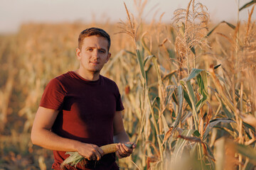 Portrait young man farmer in cornfield with freshly harvested corn for making silo. Farm silage...