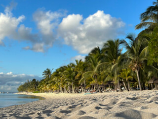 Selective focus shot on blurry tropical beach background