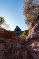 Fototapeta premium Woman climbs the mountain in the Garraf Natural Park, supported by hiking sticks.