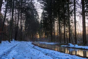 Snow-covered forest path next to the Brunnenbach stream in Siebenbrunn near Augsburg at sunrise in winter