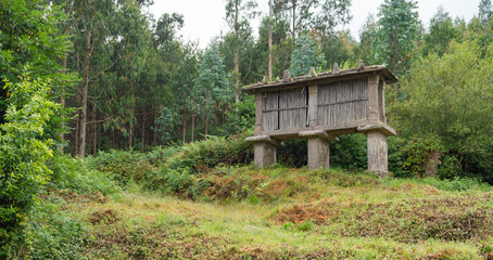 Galician stone horreo in the countryside