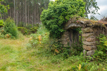 Fototapete bei efototapeten.de bestellen   