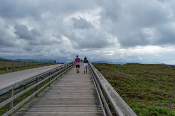 wooden walkway