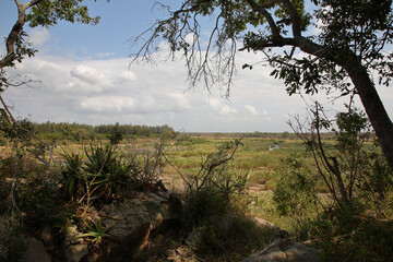 Afrikanischer Busch - Krügerpark - Crocodile River / African Bush - Kruger Park - Crocodile River /
