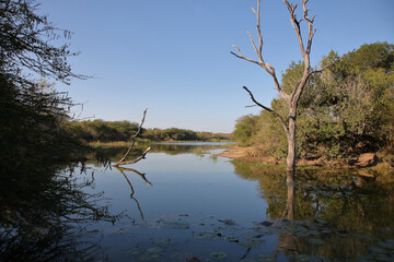 Krüger Park - Afrikanischer Busch - Lake Panic / Kruger Park - African bush - Lake Panic /
