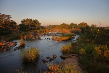 Afrikanischer Busch - Krügerpark - Sabie River / African Bush - Kruger Park - Sabie River /