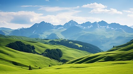 Fototapeta premium At the top of the mountain range, there is a green meadow that is filled with beauty.