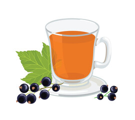 Currant berry tea in glass cup. Vector cartoon flat illustration of healthy hot fruit drink.