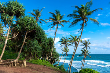 Beautiful Indian Ocean coastline on the island of Sri Lanka, Mirissa.