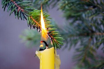 A branch of a Christmas tree caught fire from a candle, a fire due to non-compliance with safety...