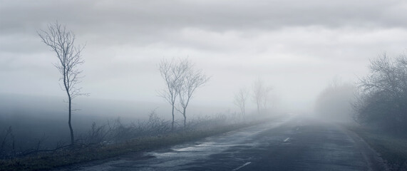 Spring landscape with trees in the fog on both sides of the road